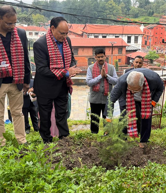 NSBL organized ‘Tree Plantation Program’ at Kailash Danda, Pashupati Temple premises