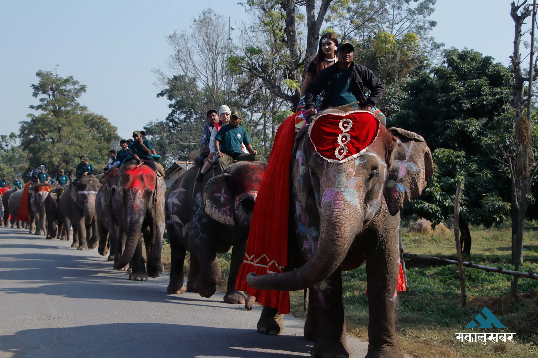 In pics: 19th Elephant and Tourism festival