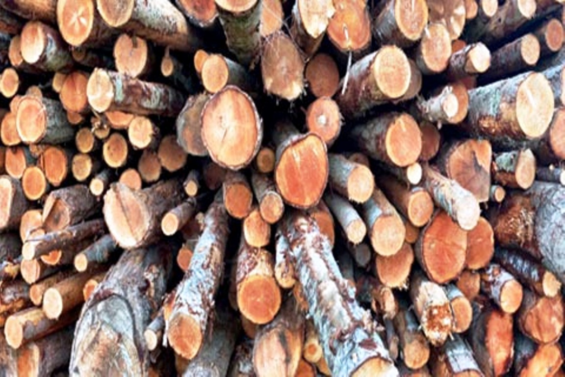 Firewood distributed to elderly care homes, temples