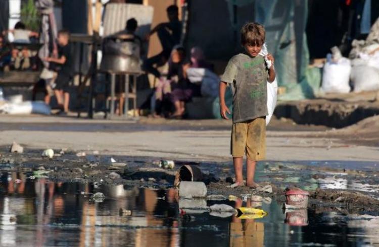 Disease risks rise in Gaza as official warns of leptospirosis among displaced
