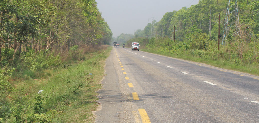 Over 6,000 trees to be cut in Mahottari for Highway expansion