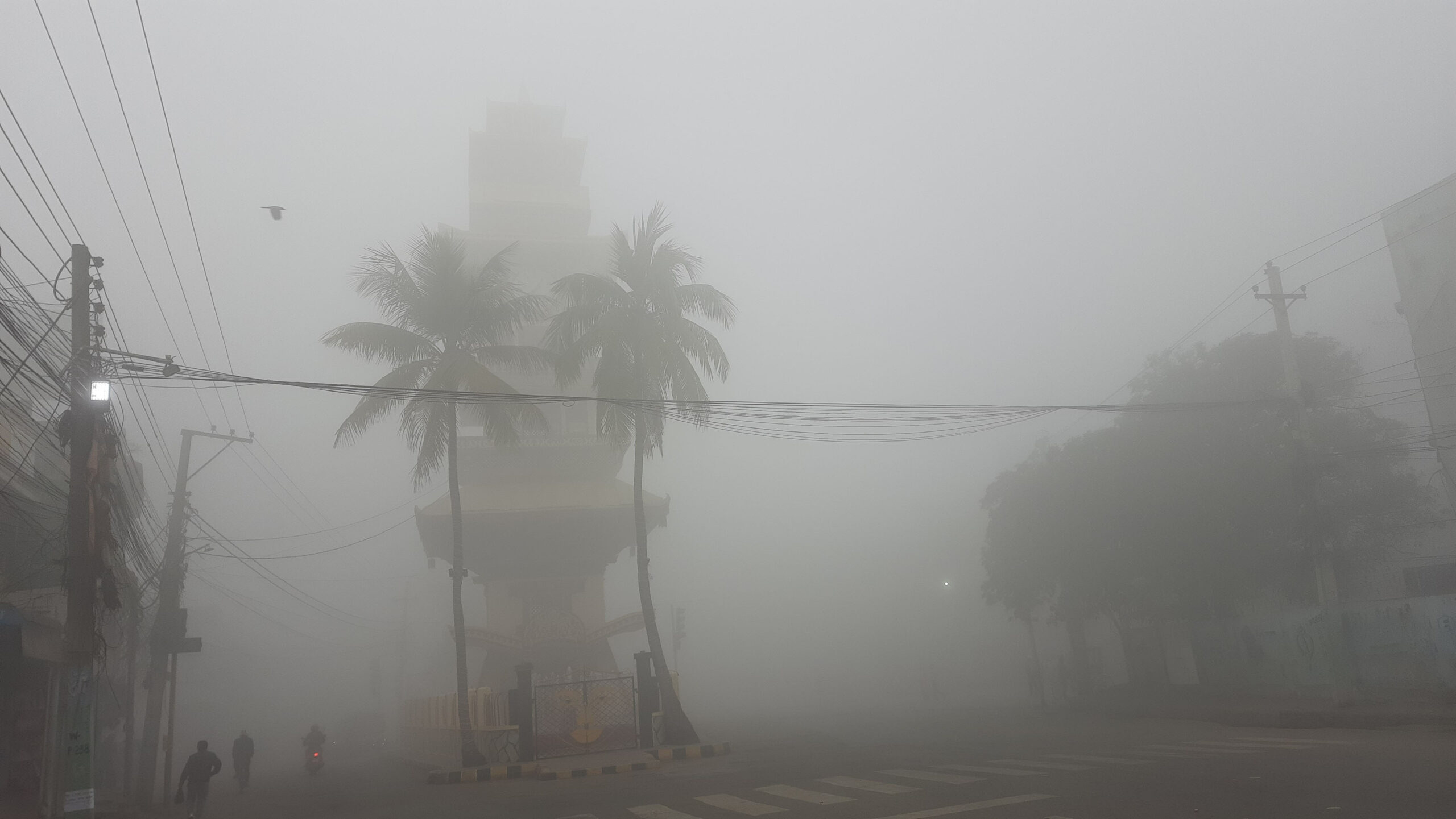 Mist & fog in Terai to improve by noon