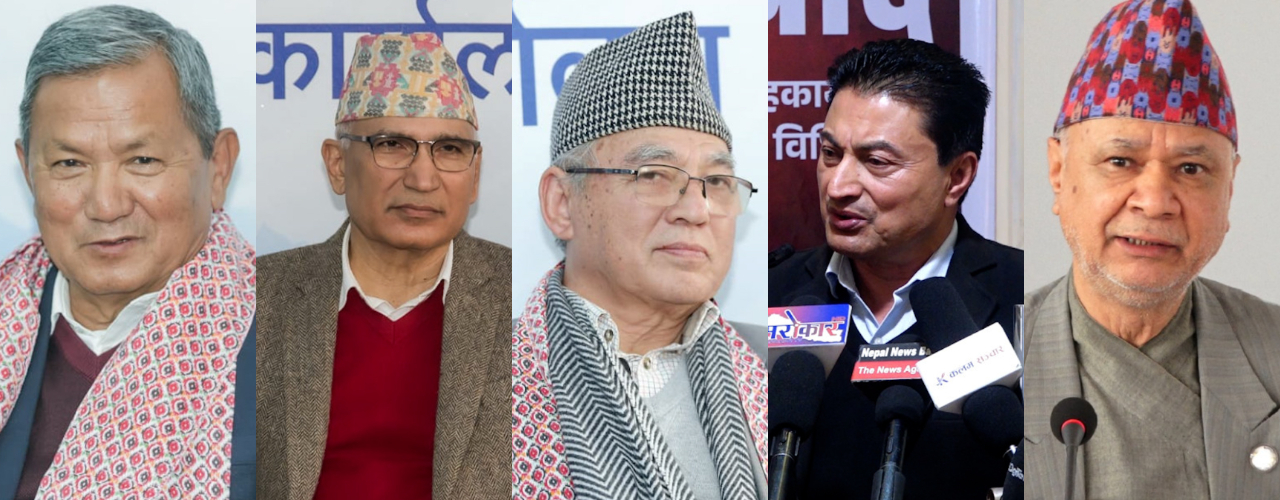 These are the 5 elected vice-chair of UML