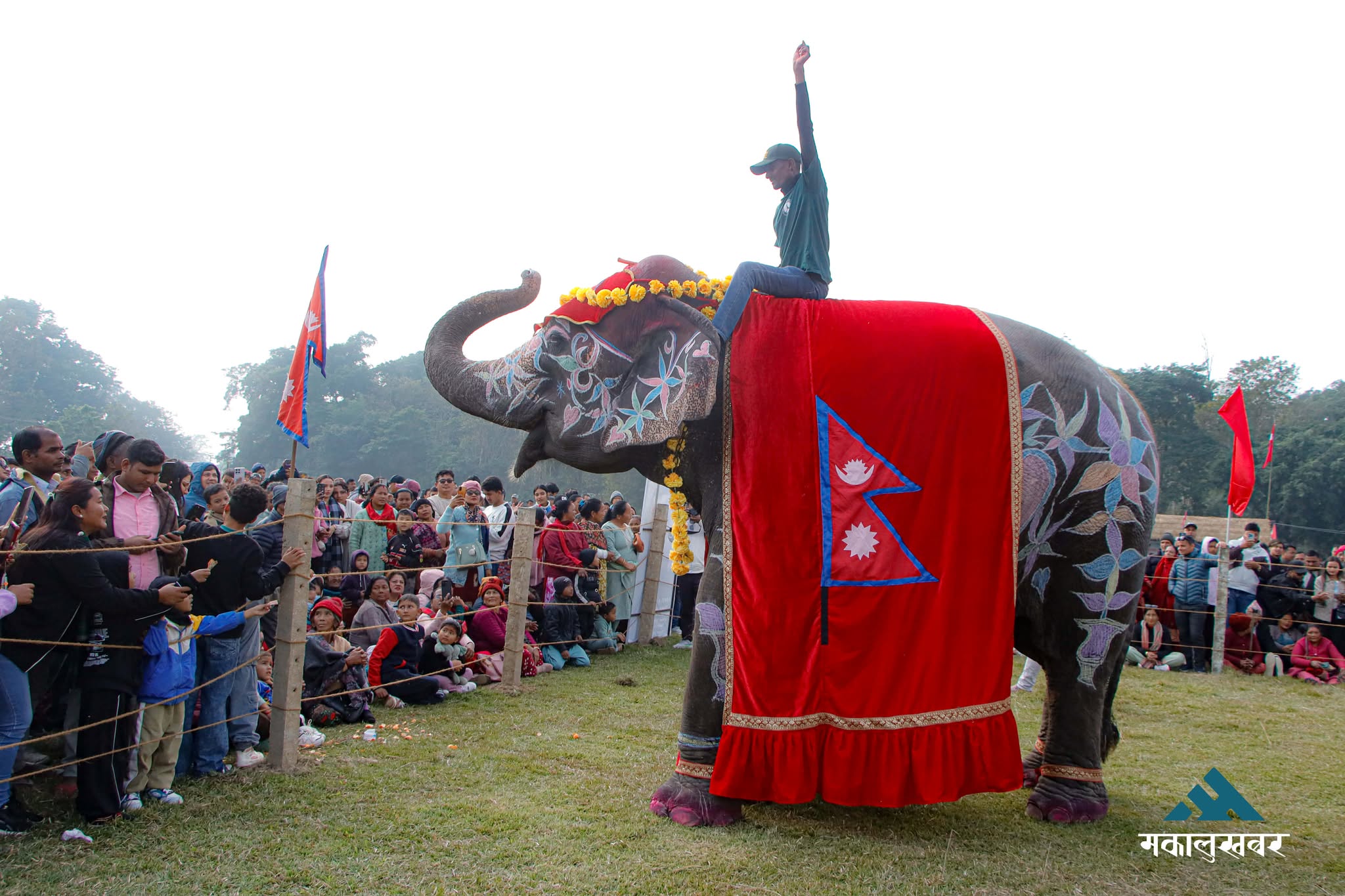 40-year-old Punam Kali crowned this year’s ‘Miss Elephant’ (photos)