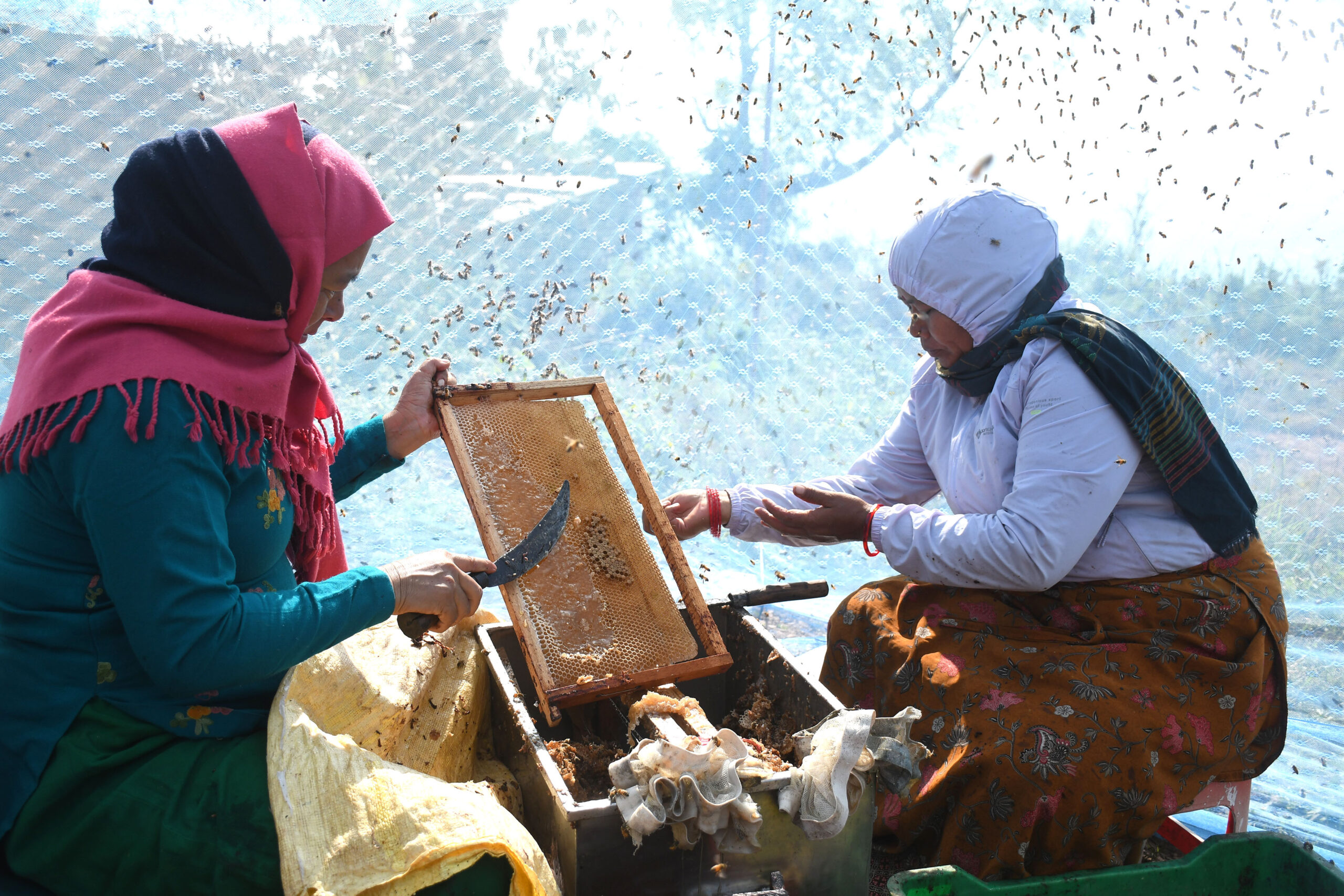 Beekeepers benefit from good market in Pokhara