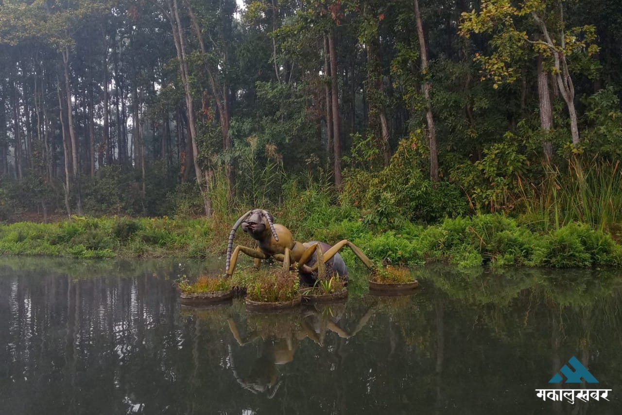 Betana Wetland emerges as eastern Nepal tourism hotspot