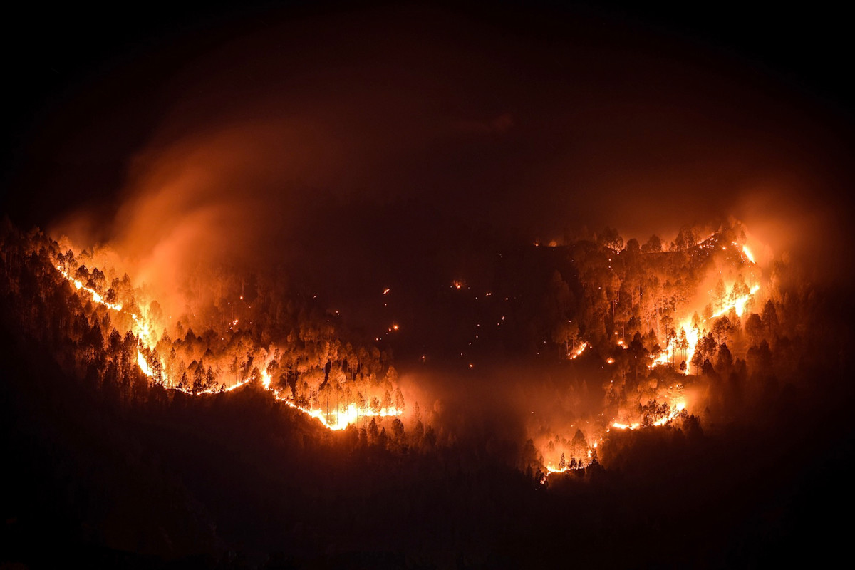 Almost 7 mln Australians living in areas most exposed to deadly wildfires: report