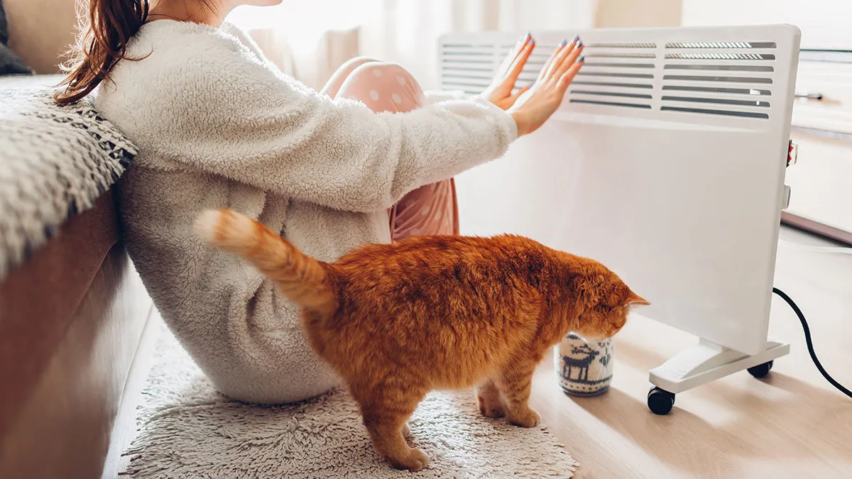 Cold wave raises carbon monoxide poisoning risks; doctors urge caution in winter heating