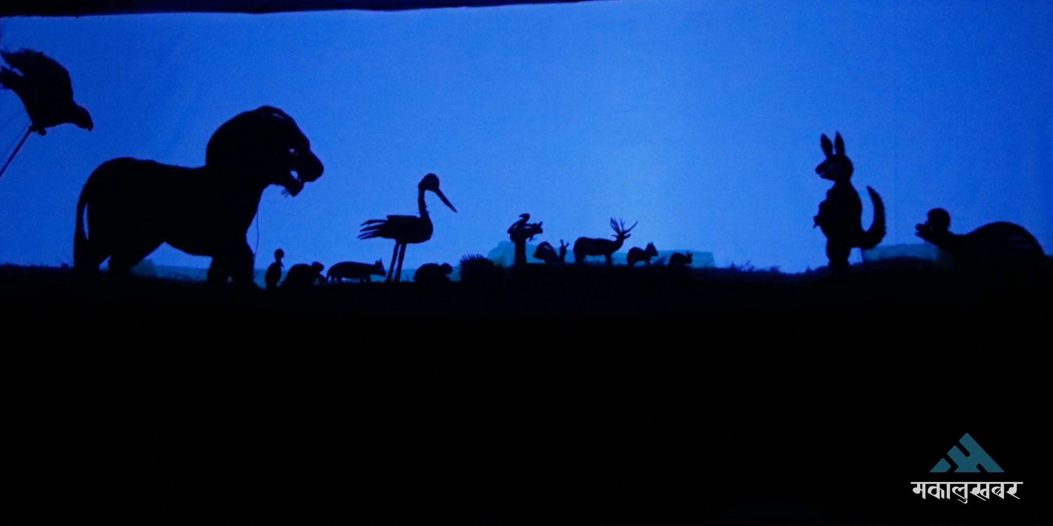 In pics: Shadow puppet play ‘The Hare and the Tortoise’