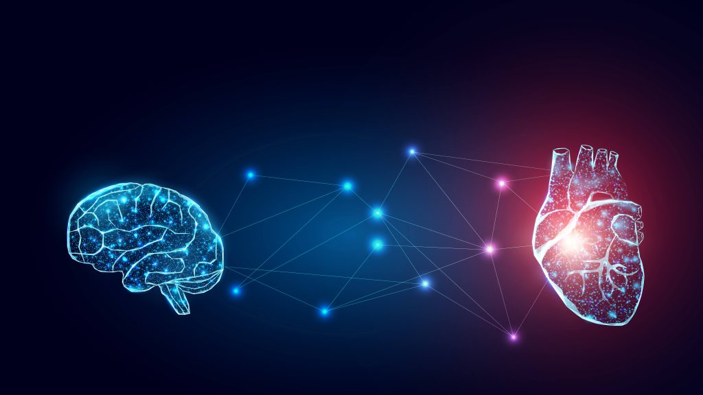 Brain-heart connection: Expert explains powerful tie that works both ways