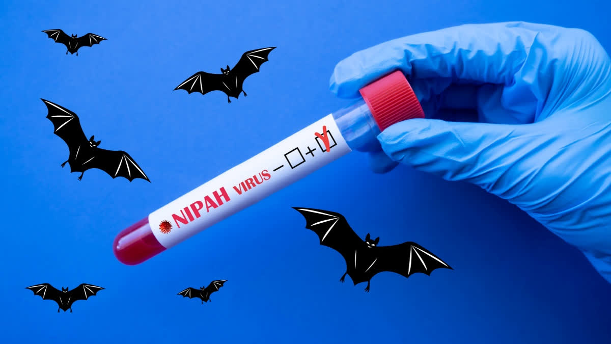 Health Ministry issues Nipah virus alert