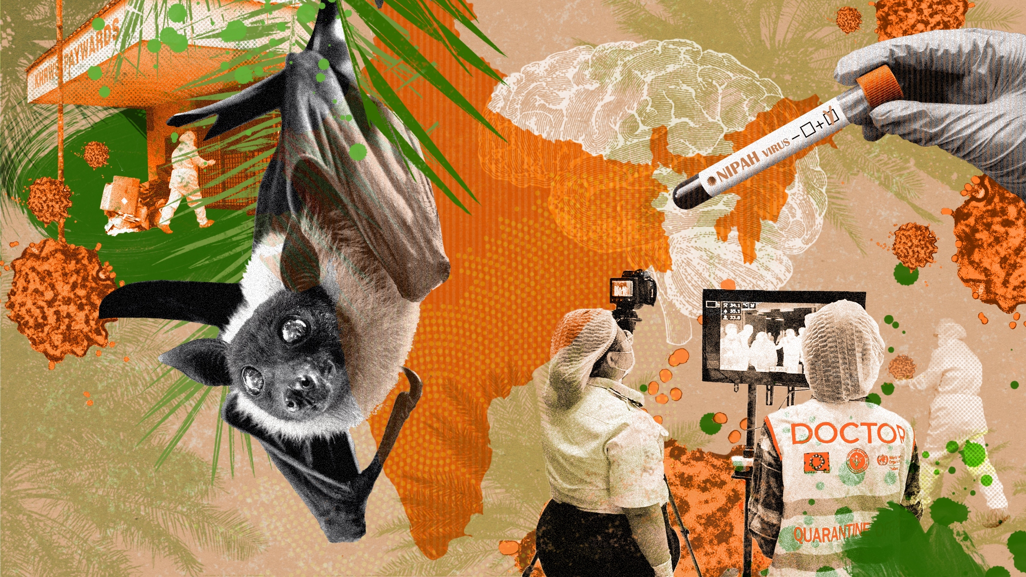 Nipah cases in India trigger Nepal health watch