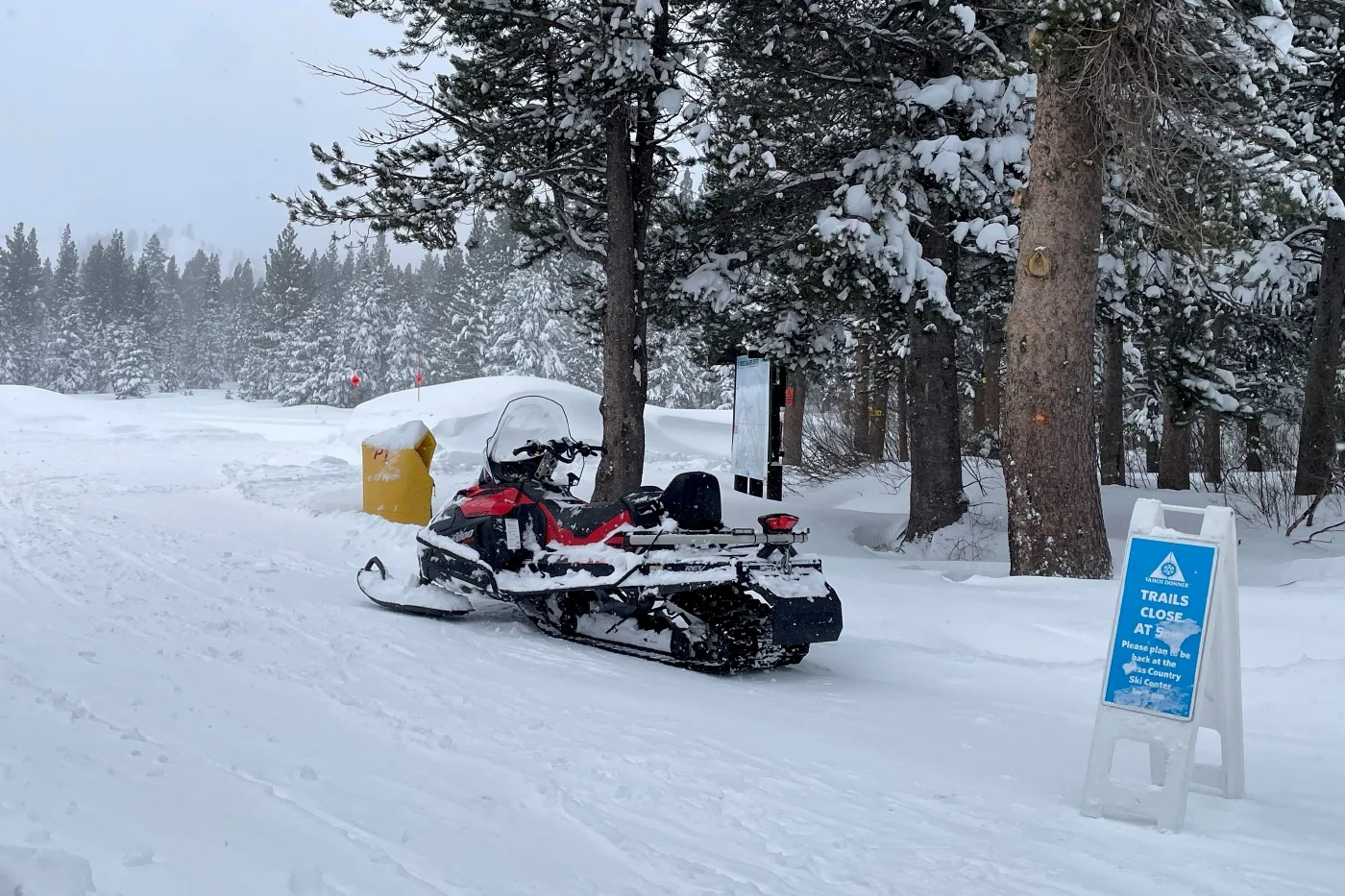 Eight skiers found dead after California avalanche