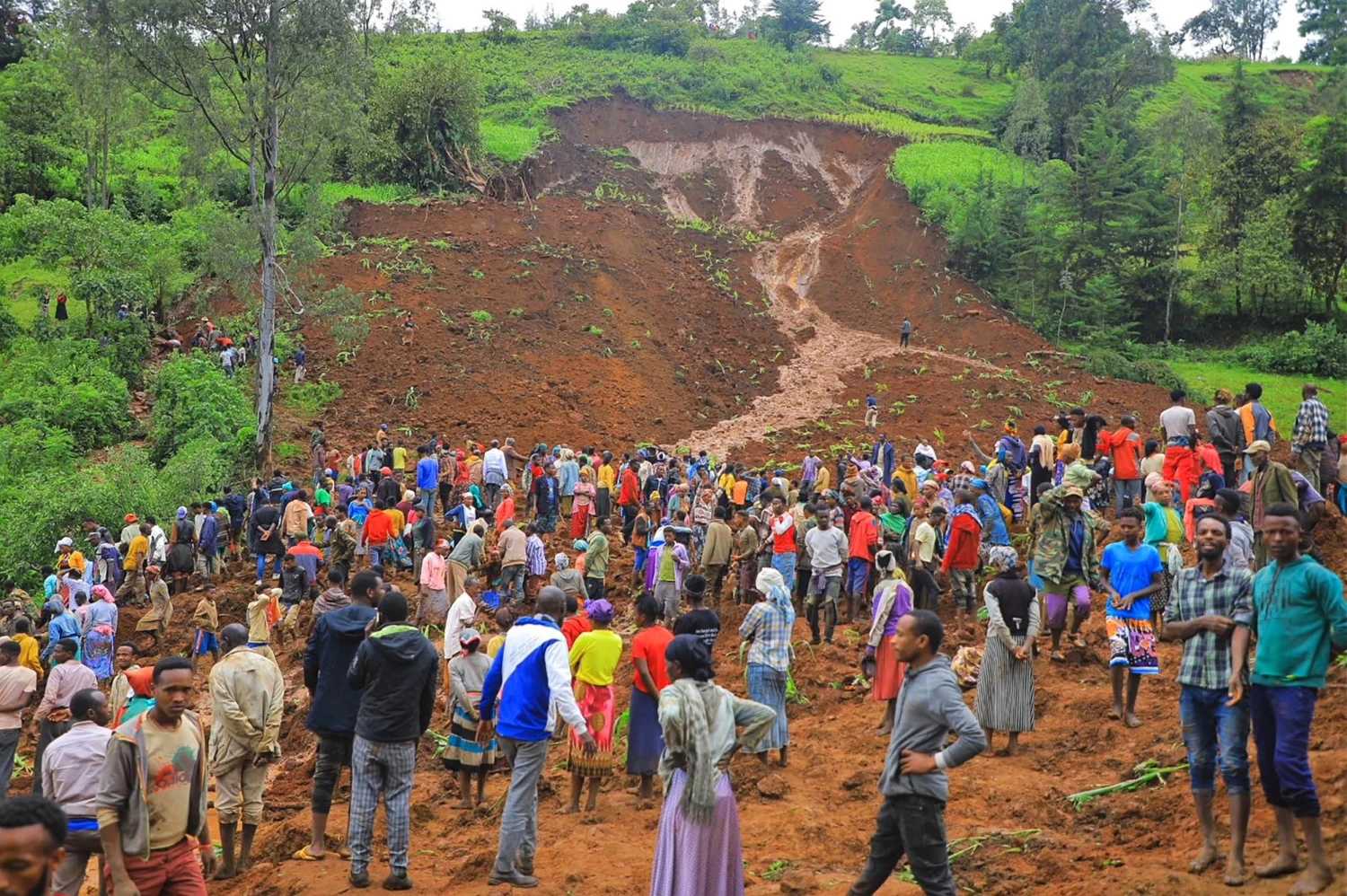 Death toll from landslide in southern Ethiopia reaches 52, further rise likely