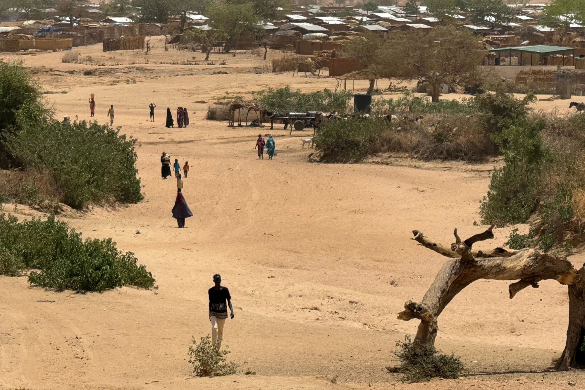At least 42 people killed in eastern Chad during clashes over water resources, authorities say