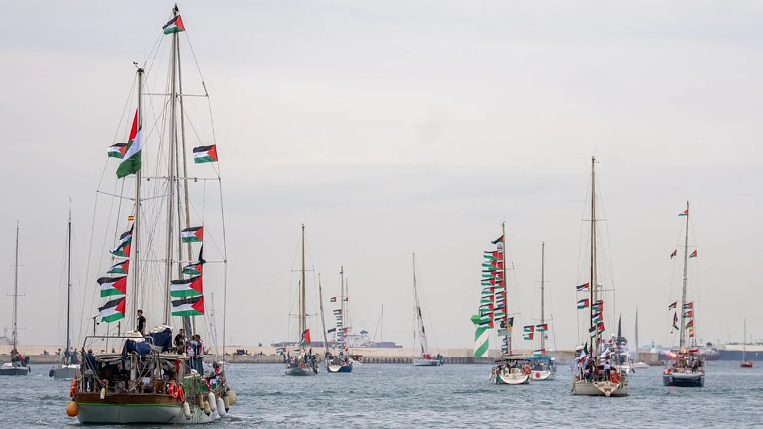 Israel arrests 175 activists from Gaza flotilla far from its waters