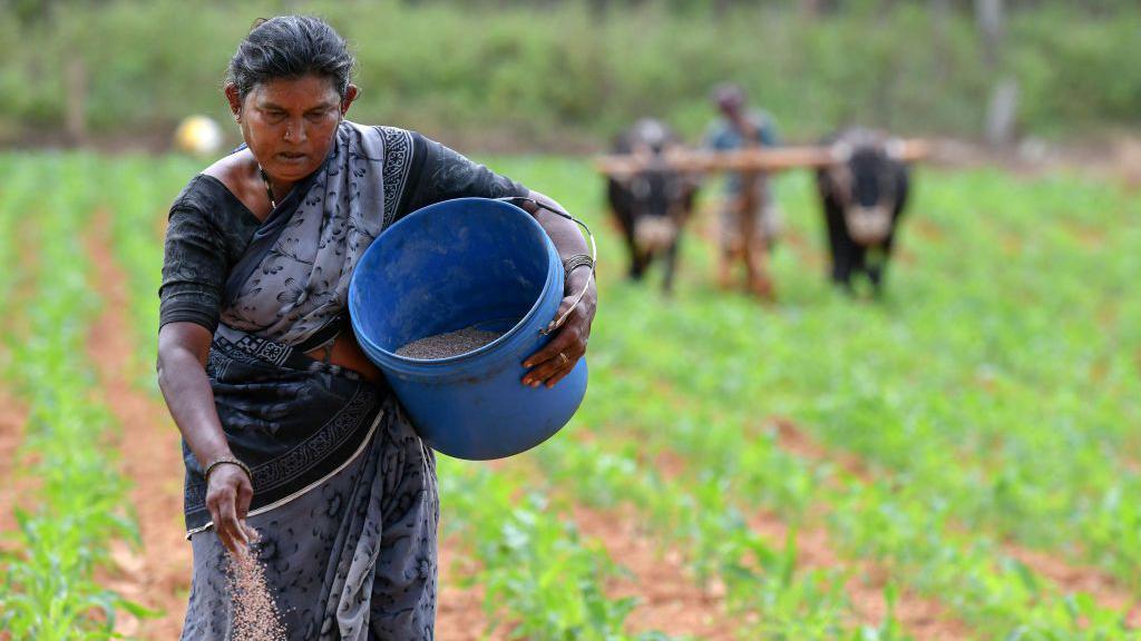 India fertiliser output drops a quarter on Mideast war