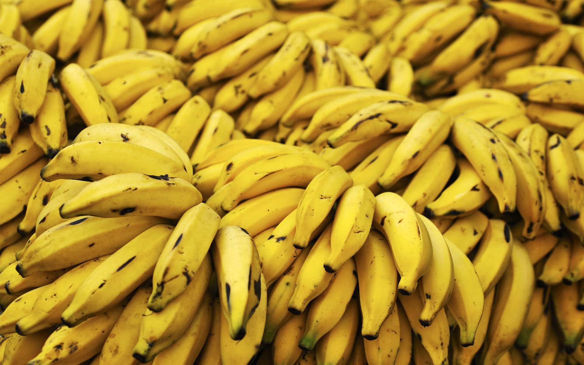Banana shortage hits market, prices soar to Rs 350 per dozen