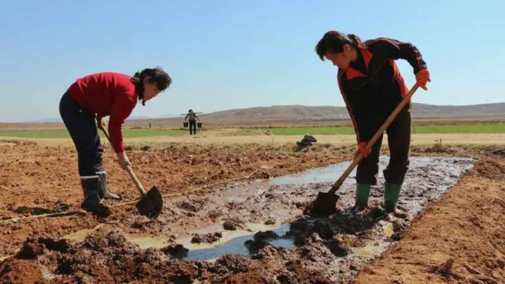 North Korea faces ‘severe’ drought: state media
