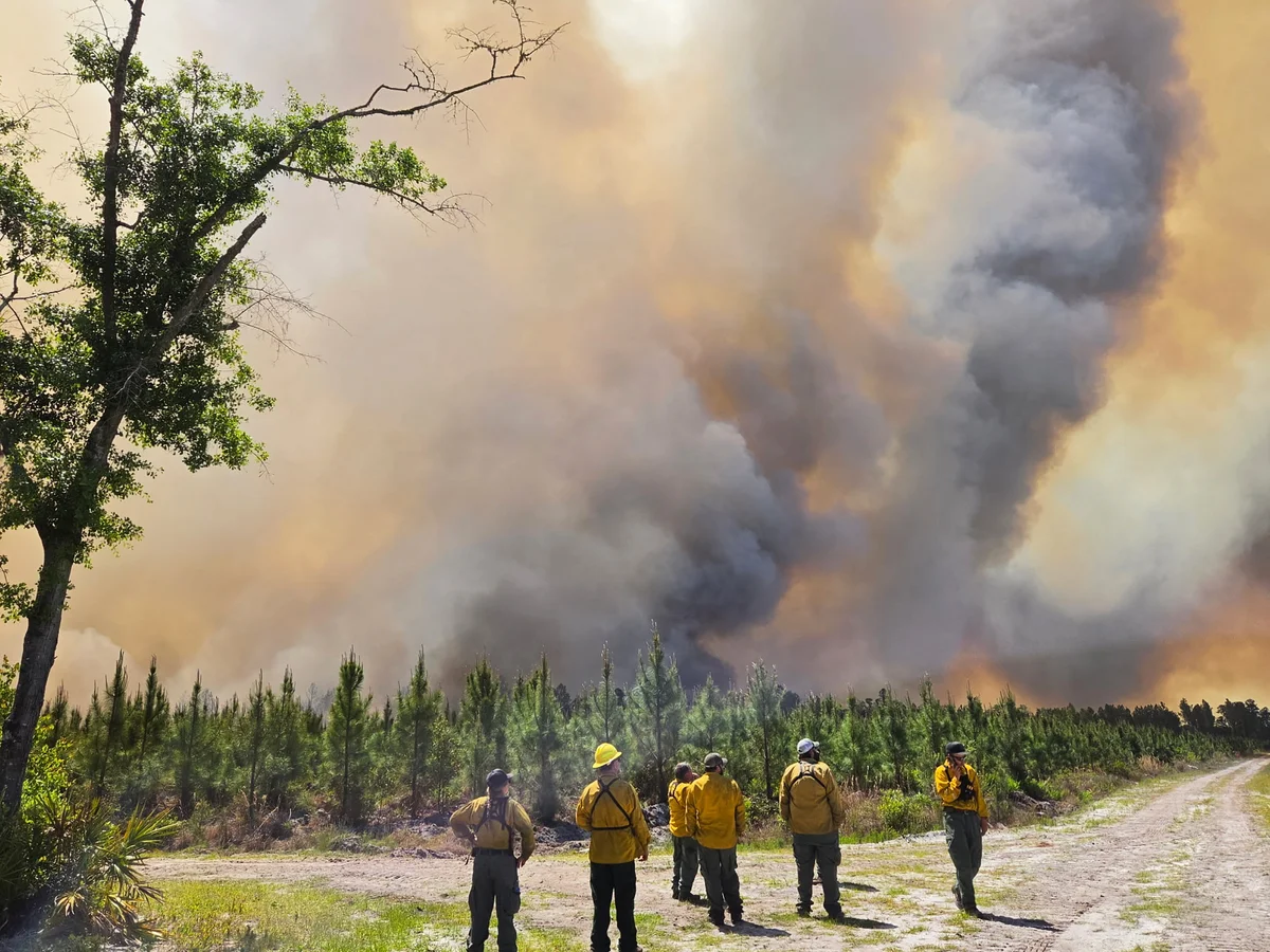 Wildfires ravage southeastern U.S., force mass evacuations