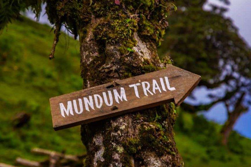 Artists & writers from 11 countries on trek on Mundum trail