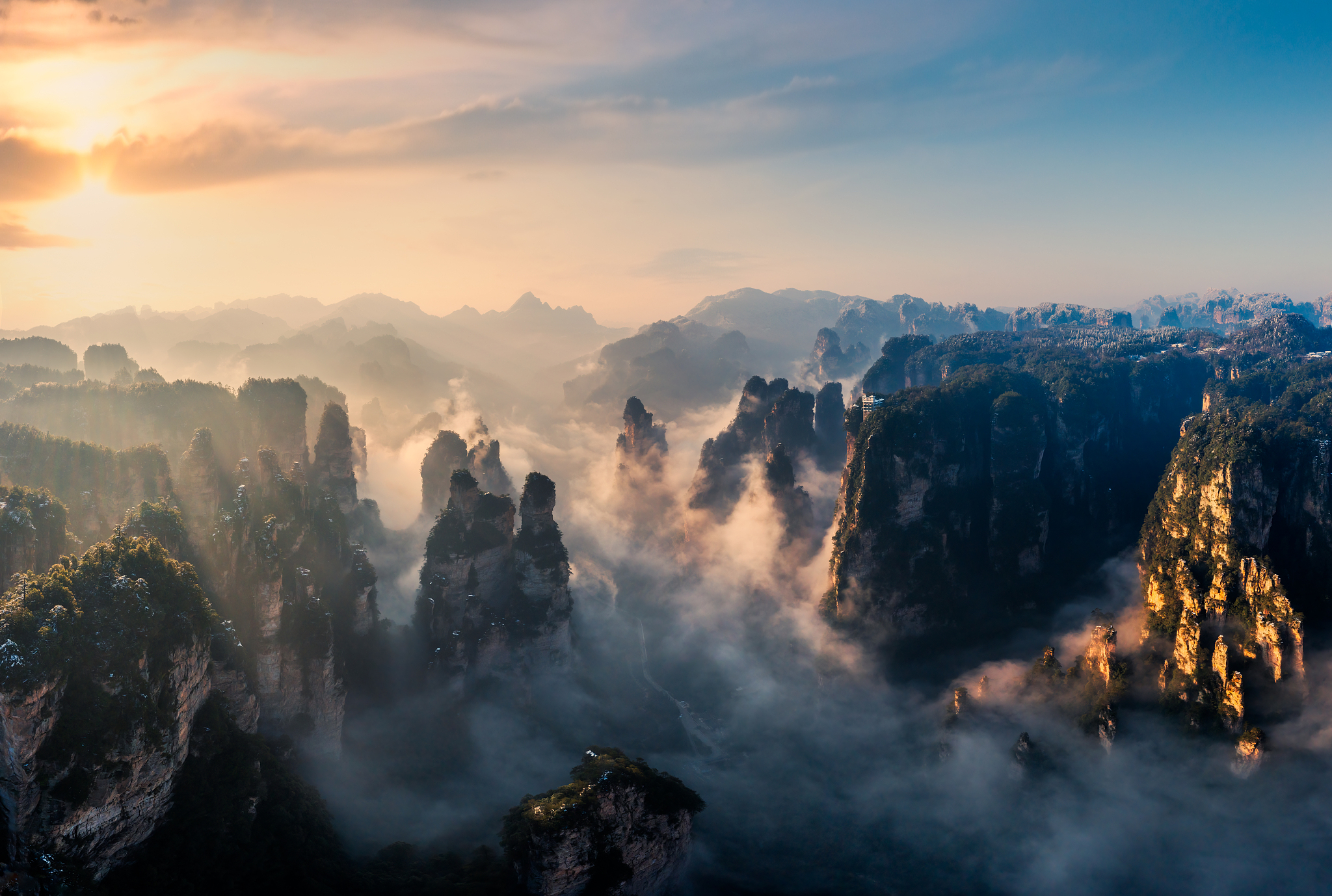 Scientists identify central China as new global biodiversity hotspot
