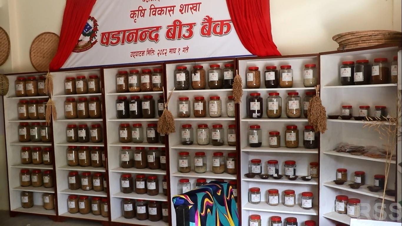 Seeds bank to preserve indigenous agro seeds in northern Bhojpur