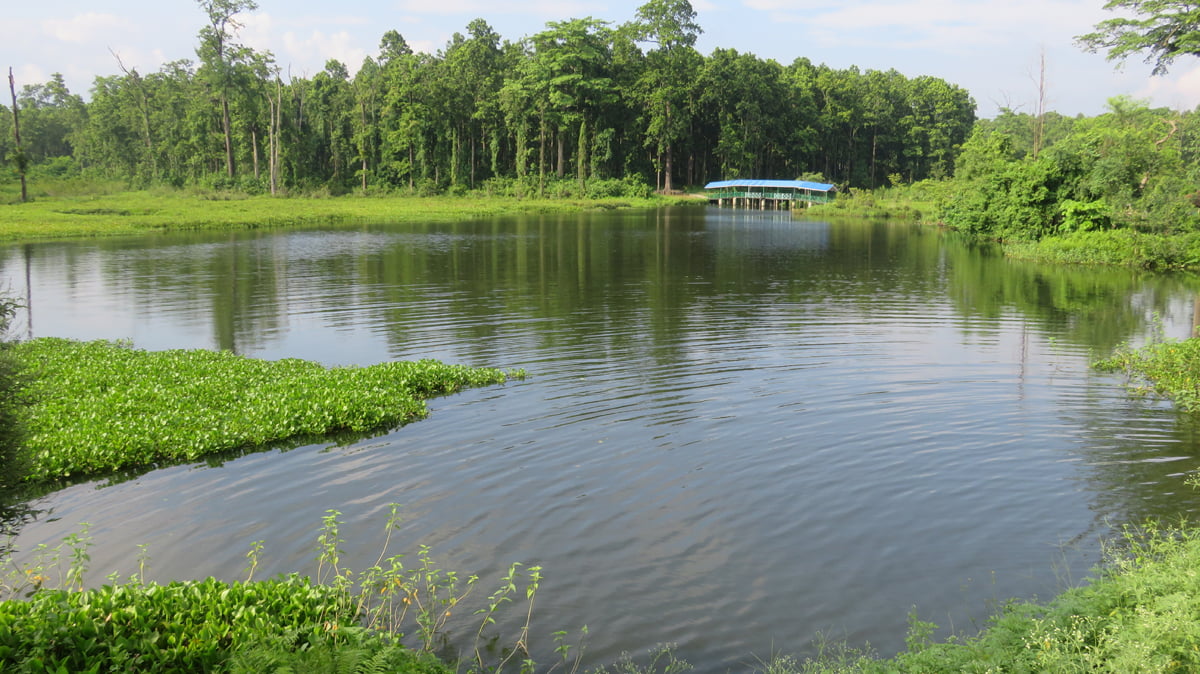 Betana Wetland emerges as eco-tourism & research hotspot