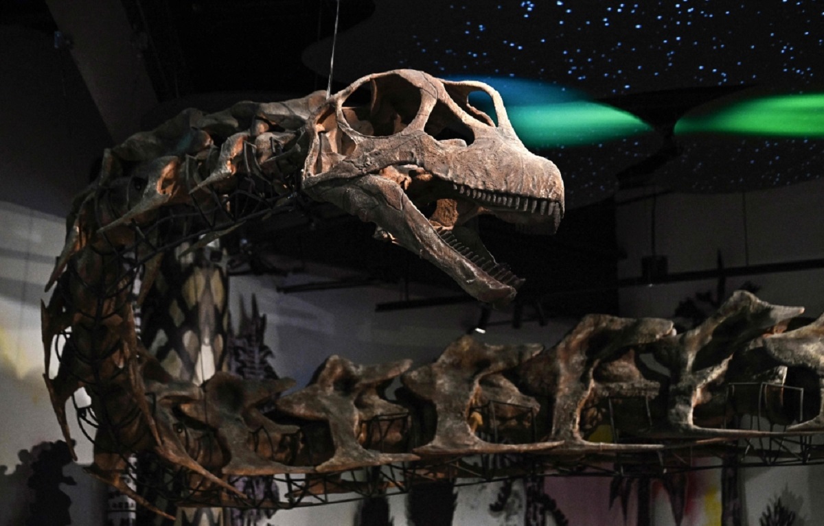 Scientists discover Southeast Asia’s largest dinosaur in Thailand