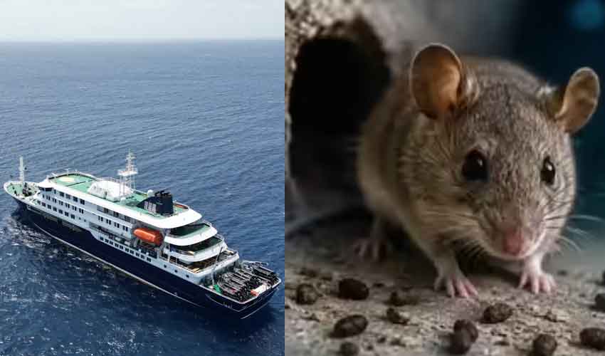 Last passengers leave virus-hit cruise ship as three more test positive