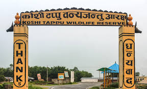 Koshi Tappu Wildlife Reserve attracts 11,603 visitors so far in current fiscal year