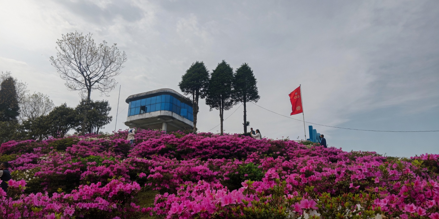 Gufapatal blossoms into Ilam’s new tourist hotspot