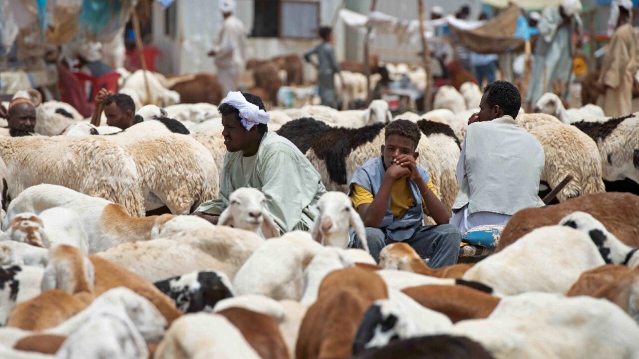 Eid al-Adha in Sudan hit hard by war & economic collapse