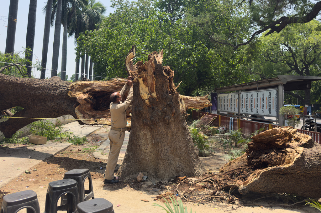 Over 80 dead in inclement weather in north India