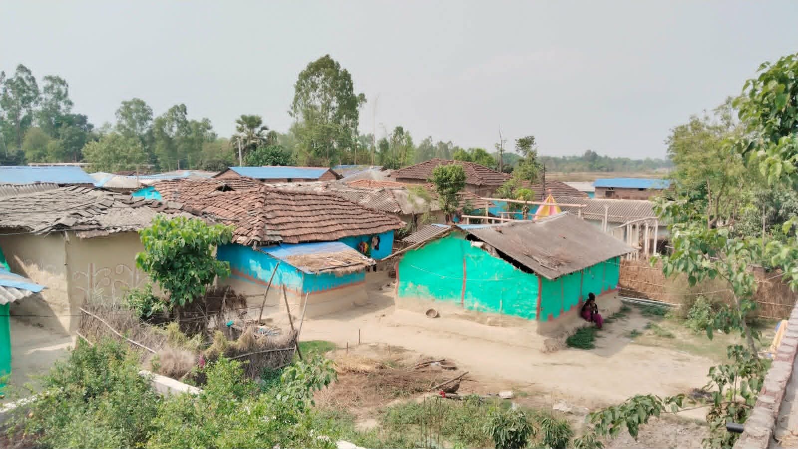 Even after eight years of ODF declaration, open defecation rife in Musahar settlement