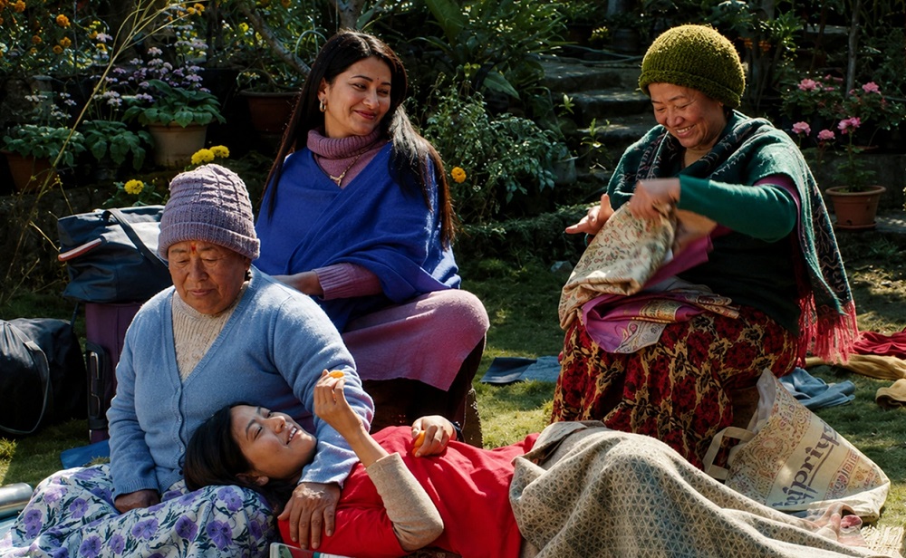Critically acclaimed ‘Shape of MoMo’ fails at box office
