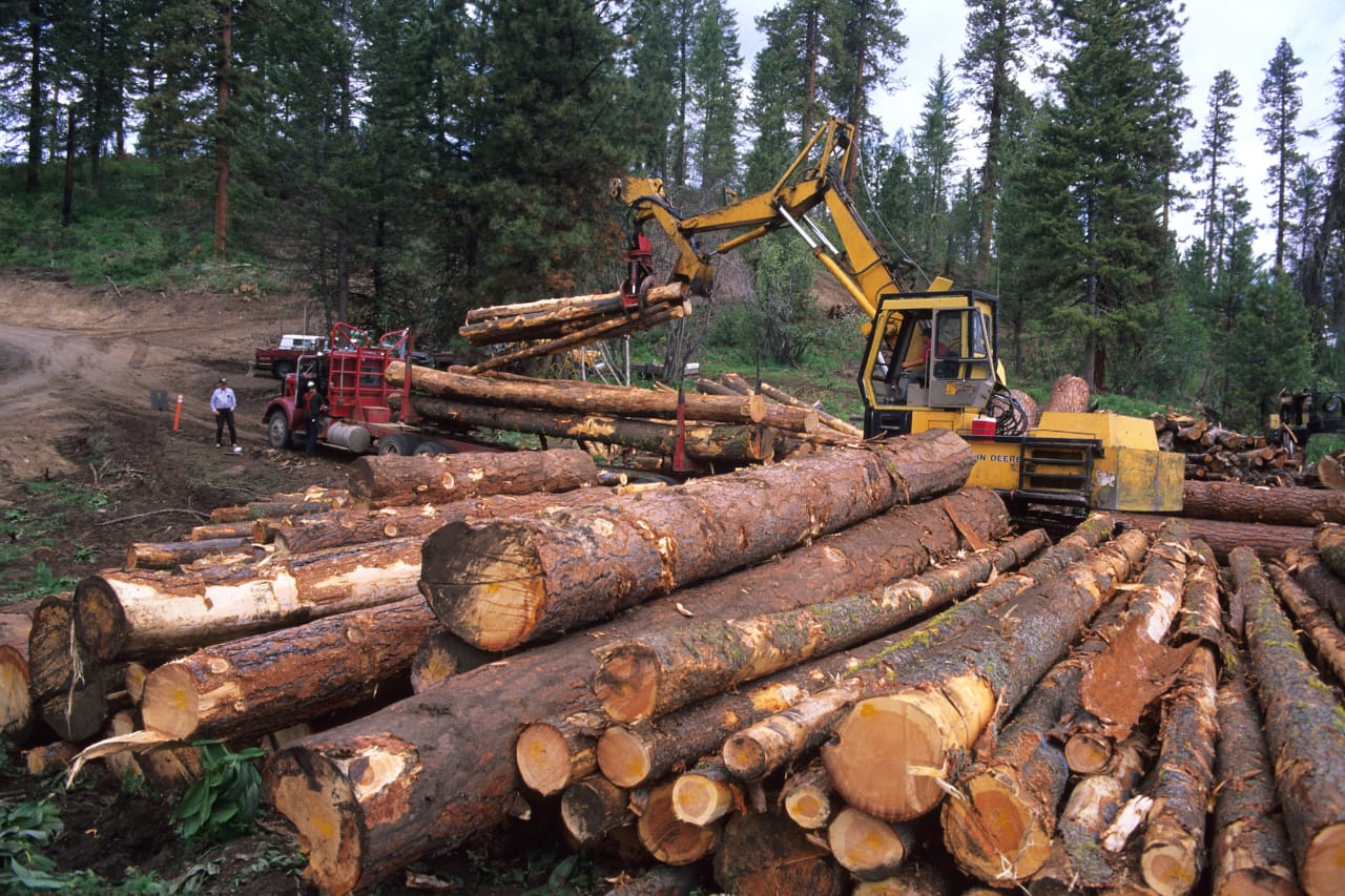 Ghana records 952,000 cubic metres of timber production in 2025