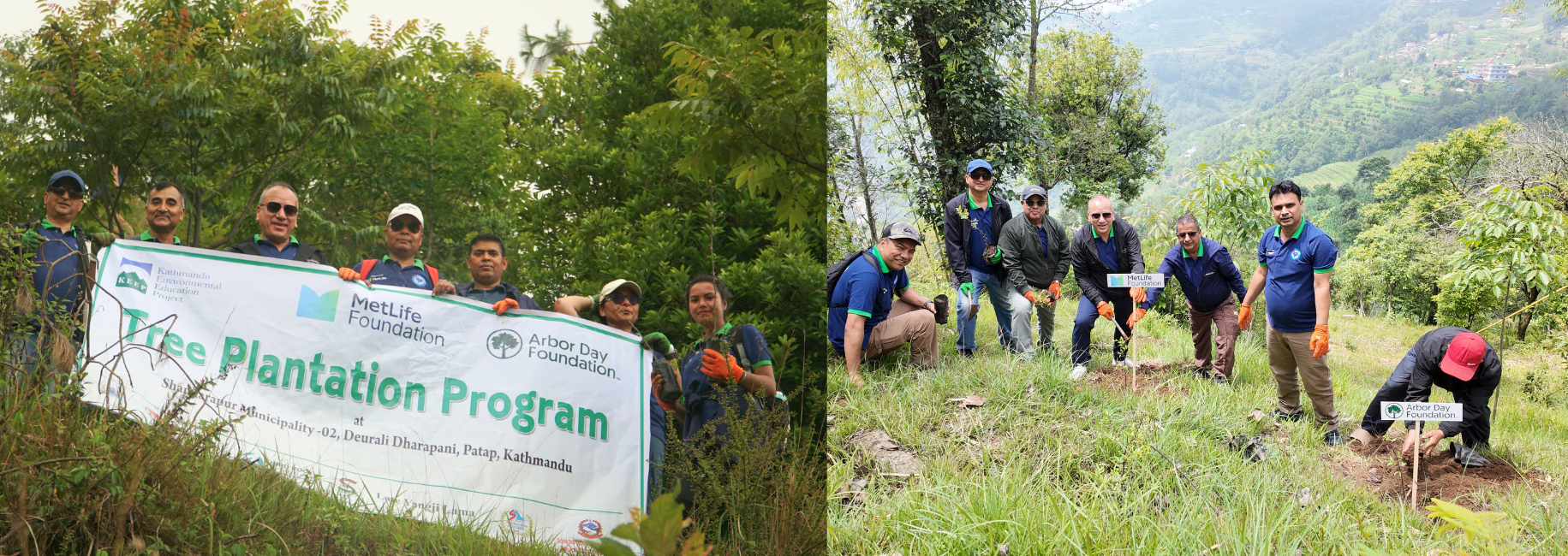 MetLife Nepal & MetLife Foundation conducts tree plantation