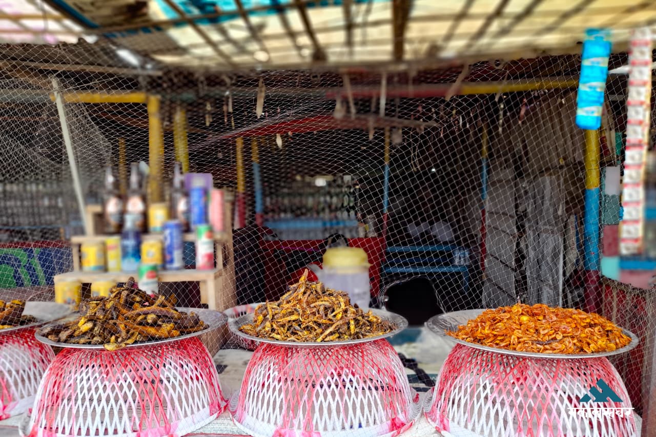 Koshi views & fresh fish steal hearts (photos)