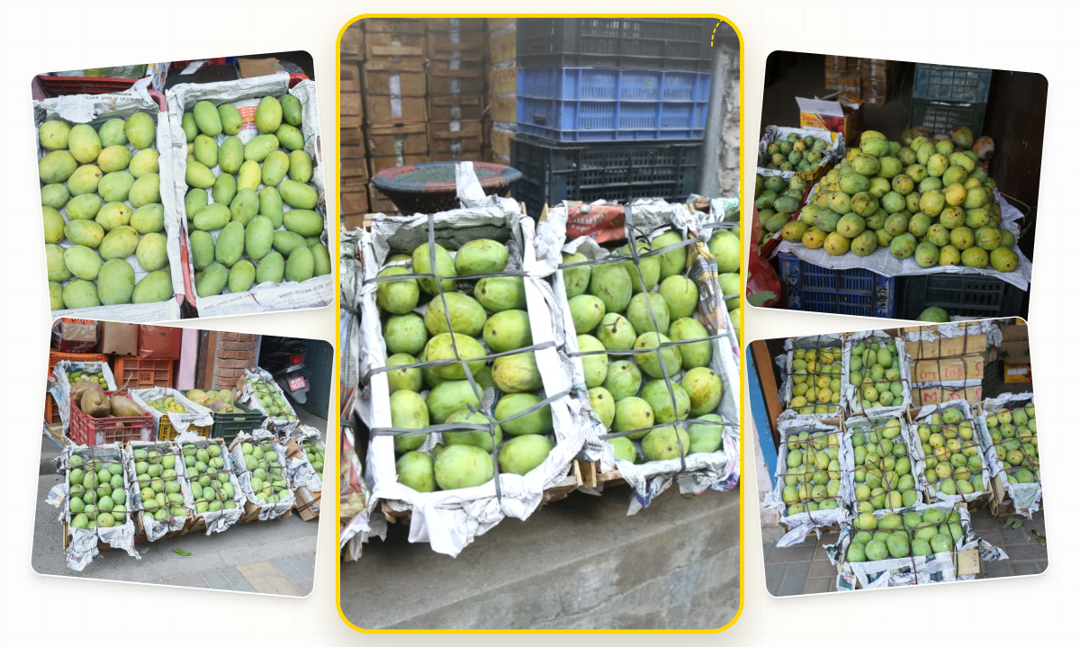 Mango & Litchi: The kings of summer fruits (photos)